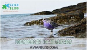 locations in north america