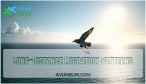 long-distance migration patterns