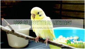 loss of appetite or lethargy