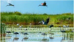 low concern conservation status and population growth