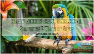 macaw common health problems