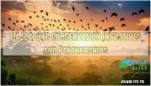 major bird conservation initiatives and partnerships