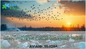 major threats facing migratory birds major threats facing migratory birds