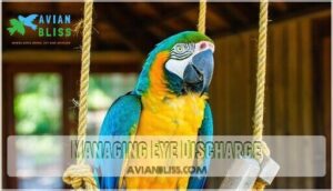 managing eye discharge