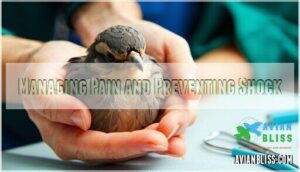 managing pain and preventing shock