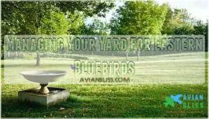 managing your yard for eastern bluebirds