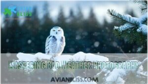 mastering bad weather photography