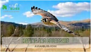 mating and courtship mating and courtship