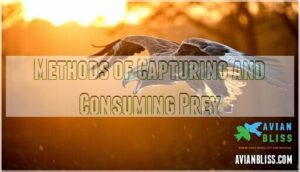 methods of capturing and consuming prey