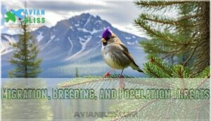 migration, breeding, and population threats