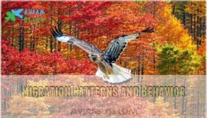 migration patterns and behavior