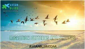 migration patterns and flyways