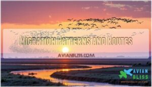 migration patterns and routes