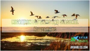 migration patterns and seasonal movements migration patterns and seasonal movements