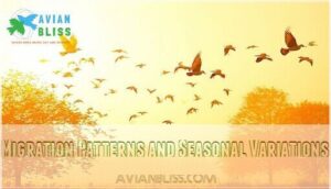 migration patterns and seasonal variations