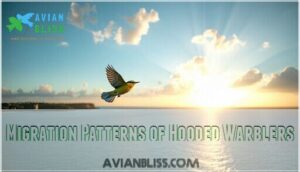 migration patterns of hooded warblers