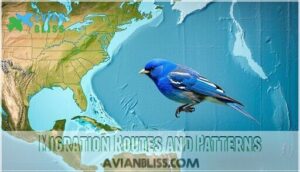 migration routes and patterns