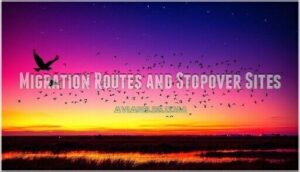 migration routes and stopover sites
