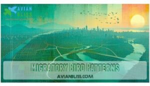 migratory bird patterns