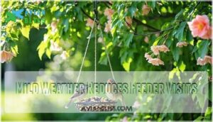 mild weather reduces feeder visits mild weather reduces feeder visits
