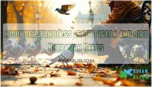 misunderstandings about pigeon and bird nutrition needs