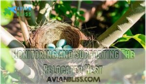 monitoring and supporting the relocated nest