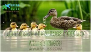 monitoring ducklings' food and water intake