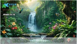 montane and riparian zones