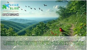 mountain birdwatching in shenandoah