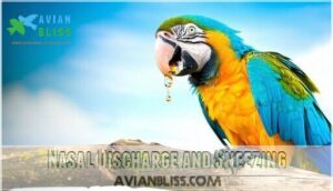 nasal discharge and sneezing