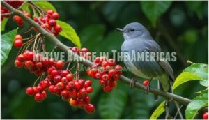 native range in the americas