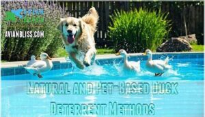 natural and pet-based duck deterrent methods