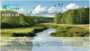 natural and semi-natural habitats