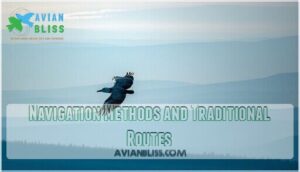 navigation methods and traditional routes