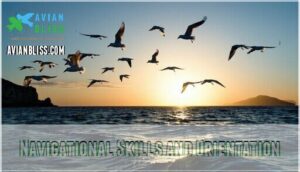 navigational skills and orientation navigational skills and orientation