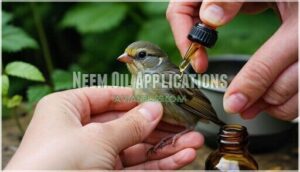 neem oil applications