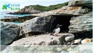 nest site selection and reuse