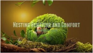 nesting behavior and comfort
