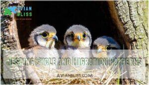 nesting cycle and migration patterns