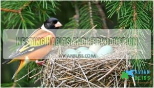 nesting habits and reproduction