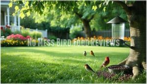 no mess bird food reviews