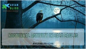 nocturnal activity in bald eagles