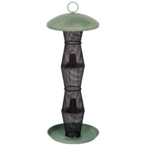 No/No Green and Black Finch B001BPU2MY