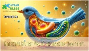 normal flora vs. pathogenic bacteria