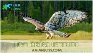 north american distribution