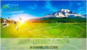 north american flyways