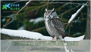 northern hawk owl overview
