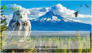 northern usa birdwatching spots