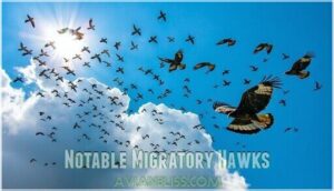 notable migratory hawks
