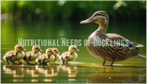 nutritional needs of ducklings
